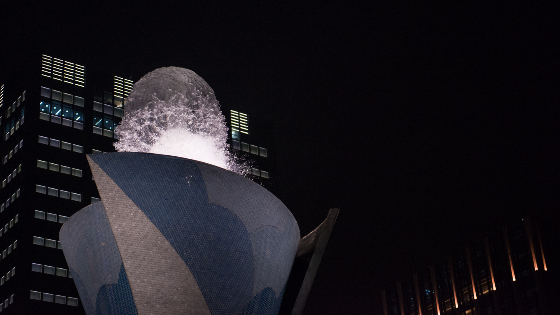 Shanghai Daning Echo, photograph 7 of 7
