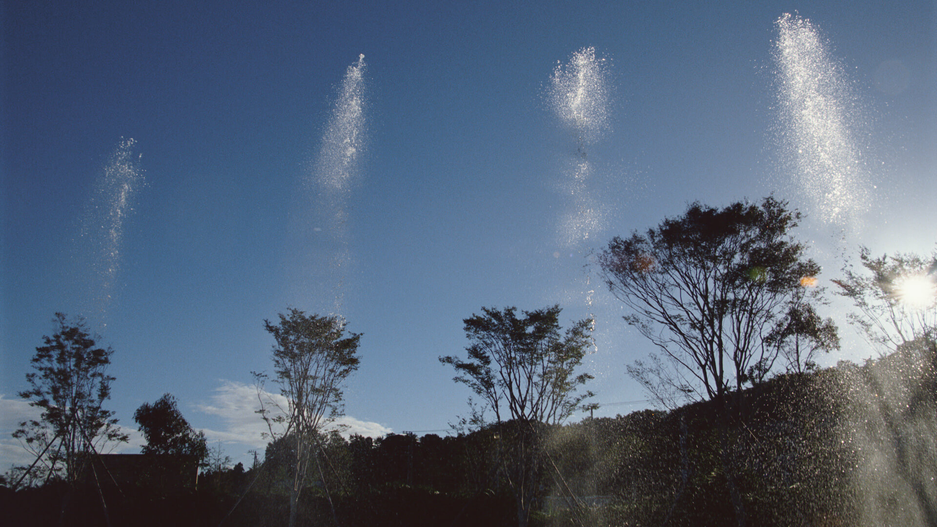 Cactus Garden, photograph 2 of 2