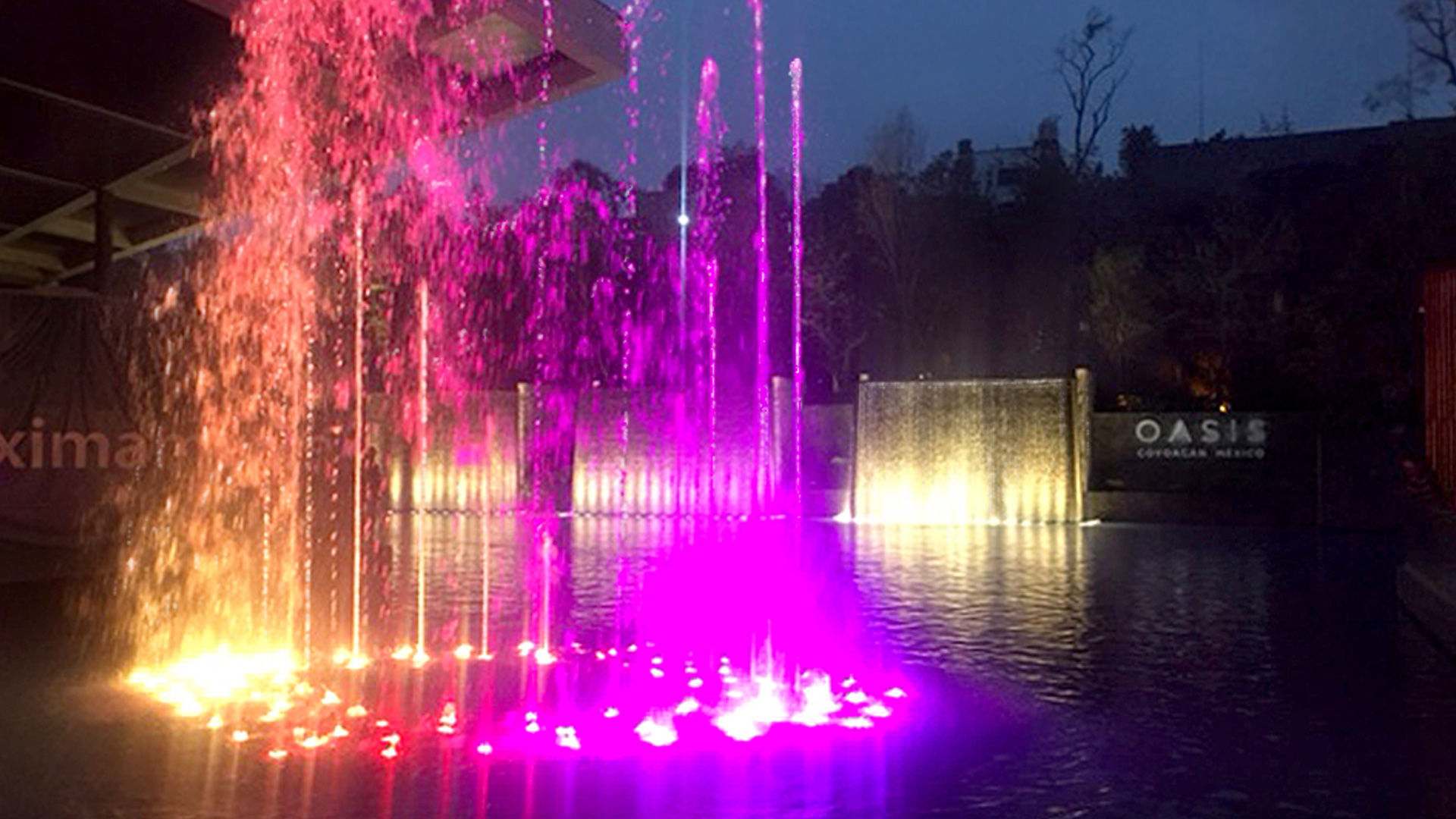 Oasis Coyoacán, photograph 2 of 2