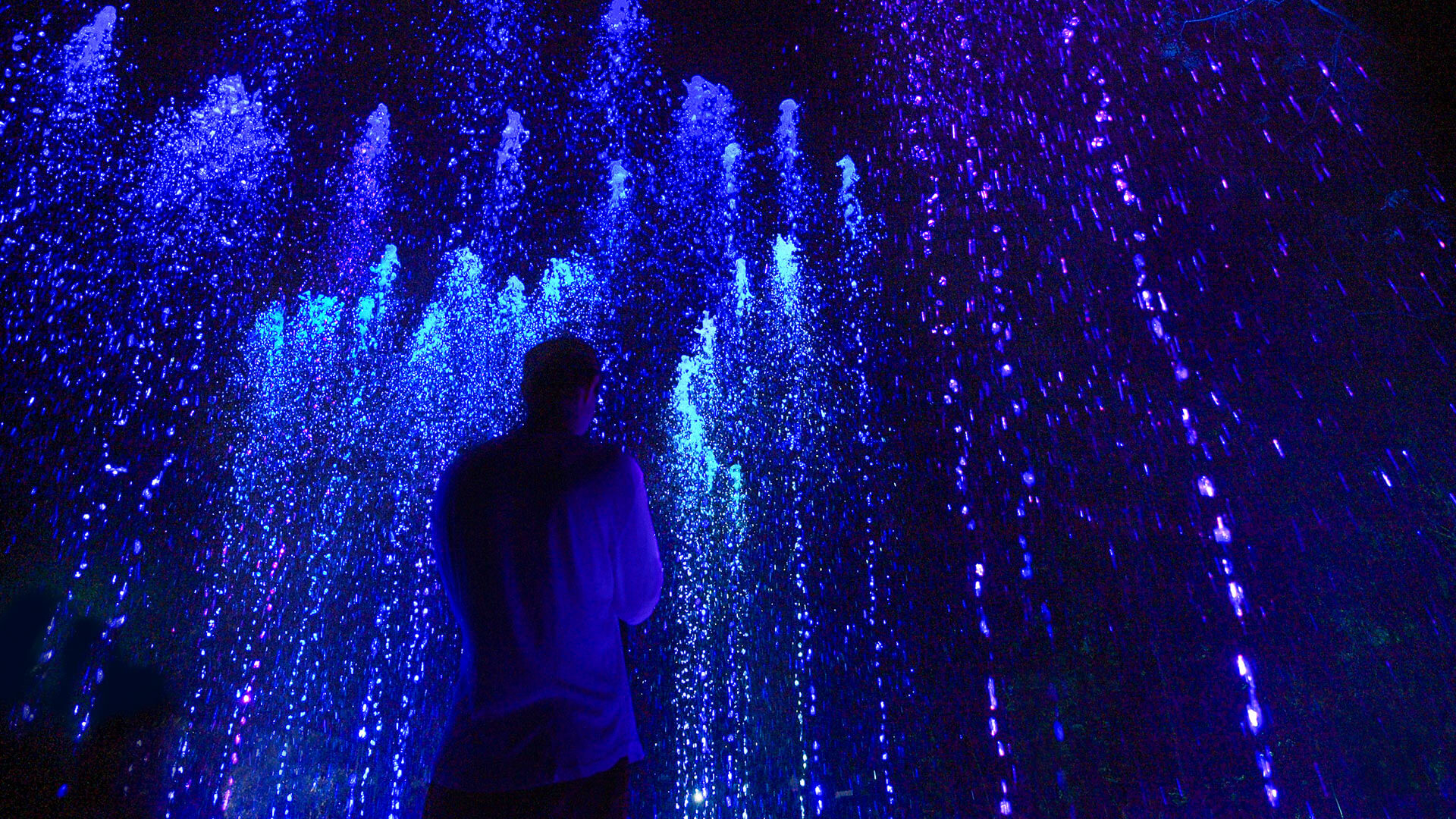 Lycaste at Dasada, photograph 7 of 7