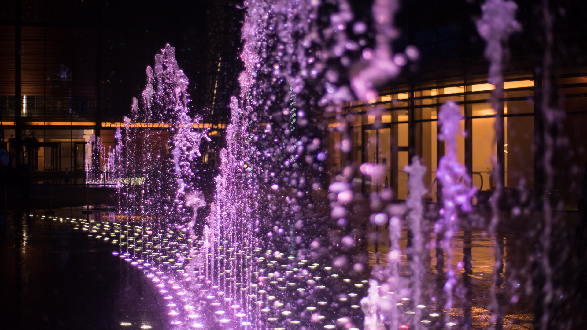 Dubai Opera House, photograph 8 of 8