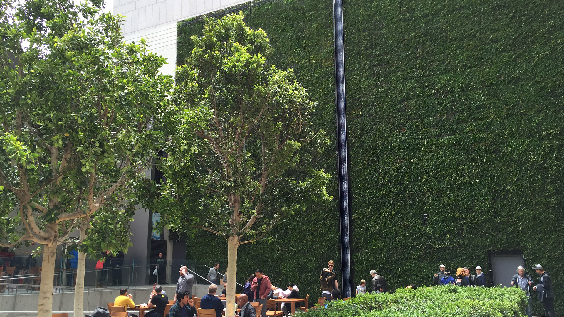 Apple Union Square, photograph 5 of 5