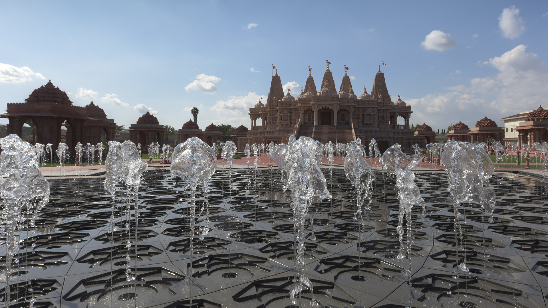 Lotus at BAPS Shri Swaminarayan Mandir, photograph 2 of 10