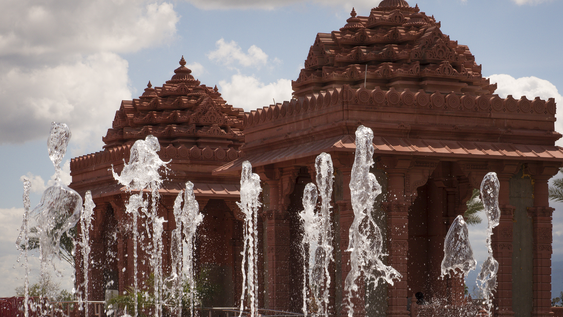 Lotus at BAPS Shri Swaminarayan Mandir, photograph 3 of 10