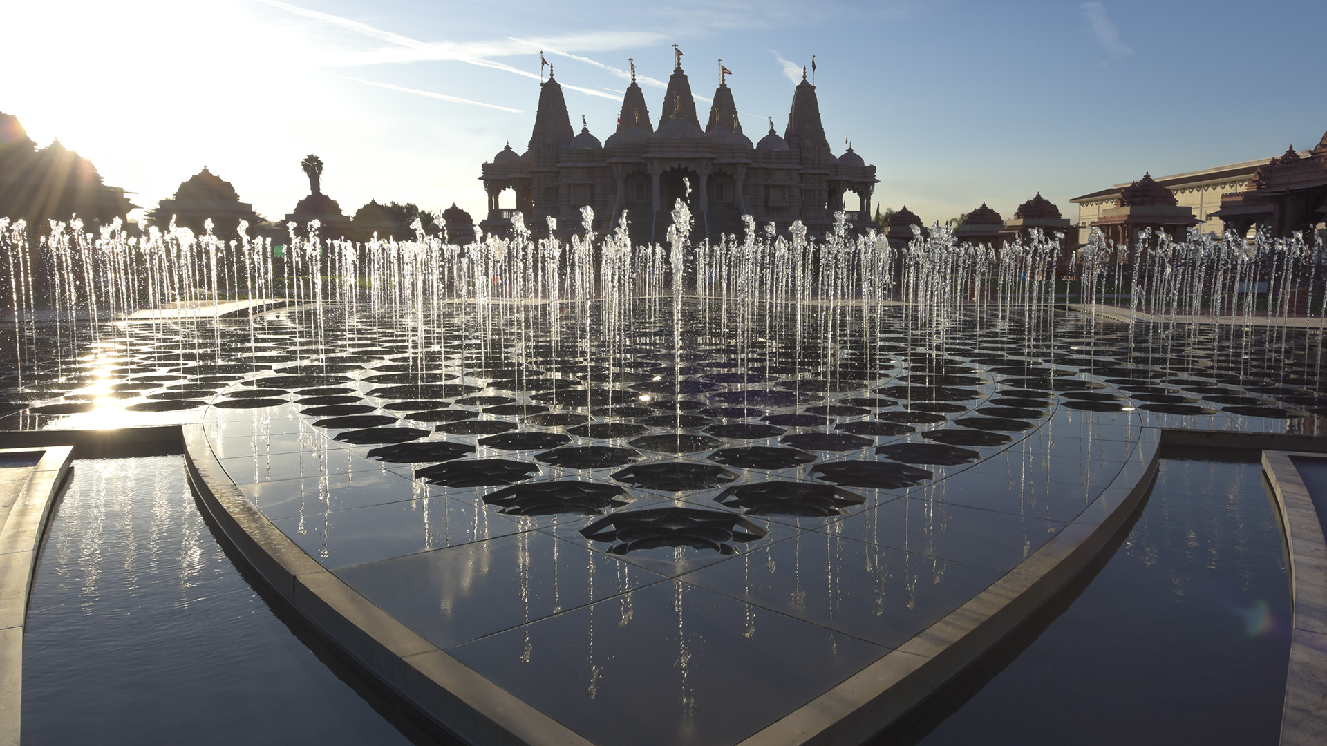 Lotus at BAPS Shri Swaminarayan Mandir, photograph 4 of 10
