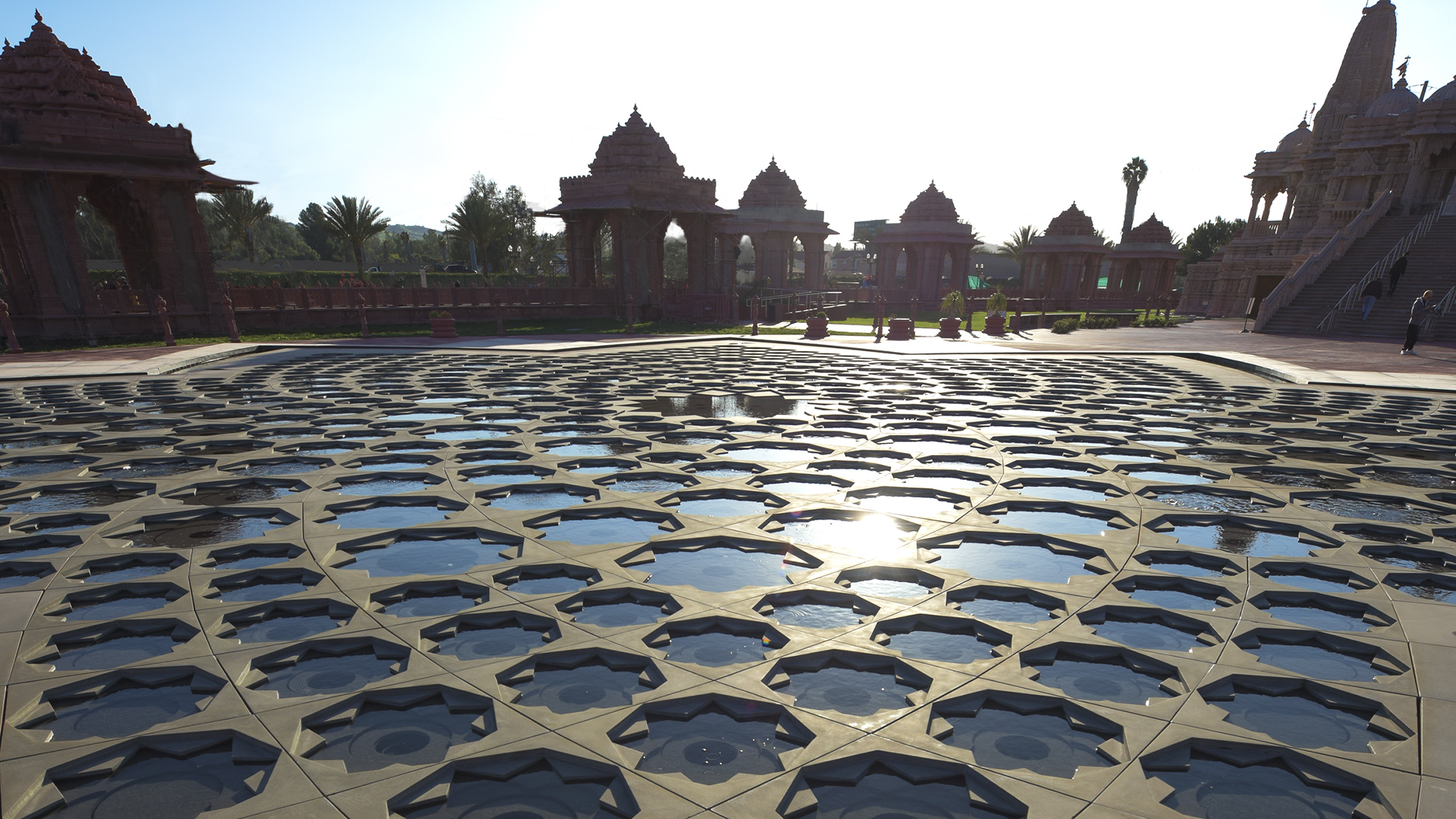 Lotus at BAPS Shri Swaminarayan Mandir, photograph 5 of 10