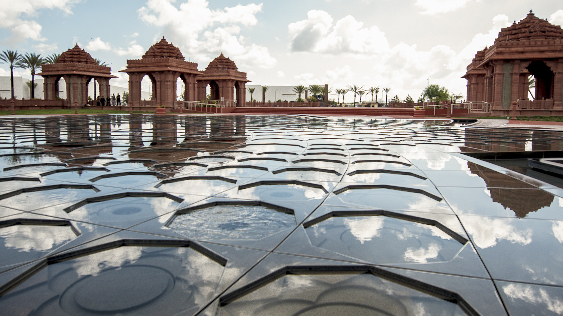 Lotus at BAPS Shri Swaminarayan Mandir, photograph 6 of 10