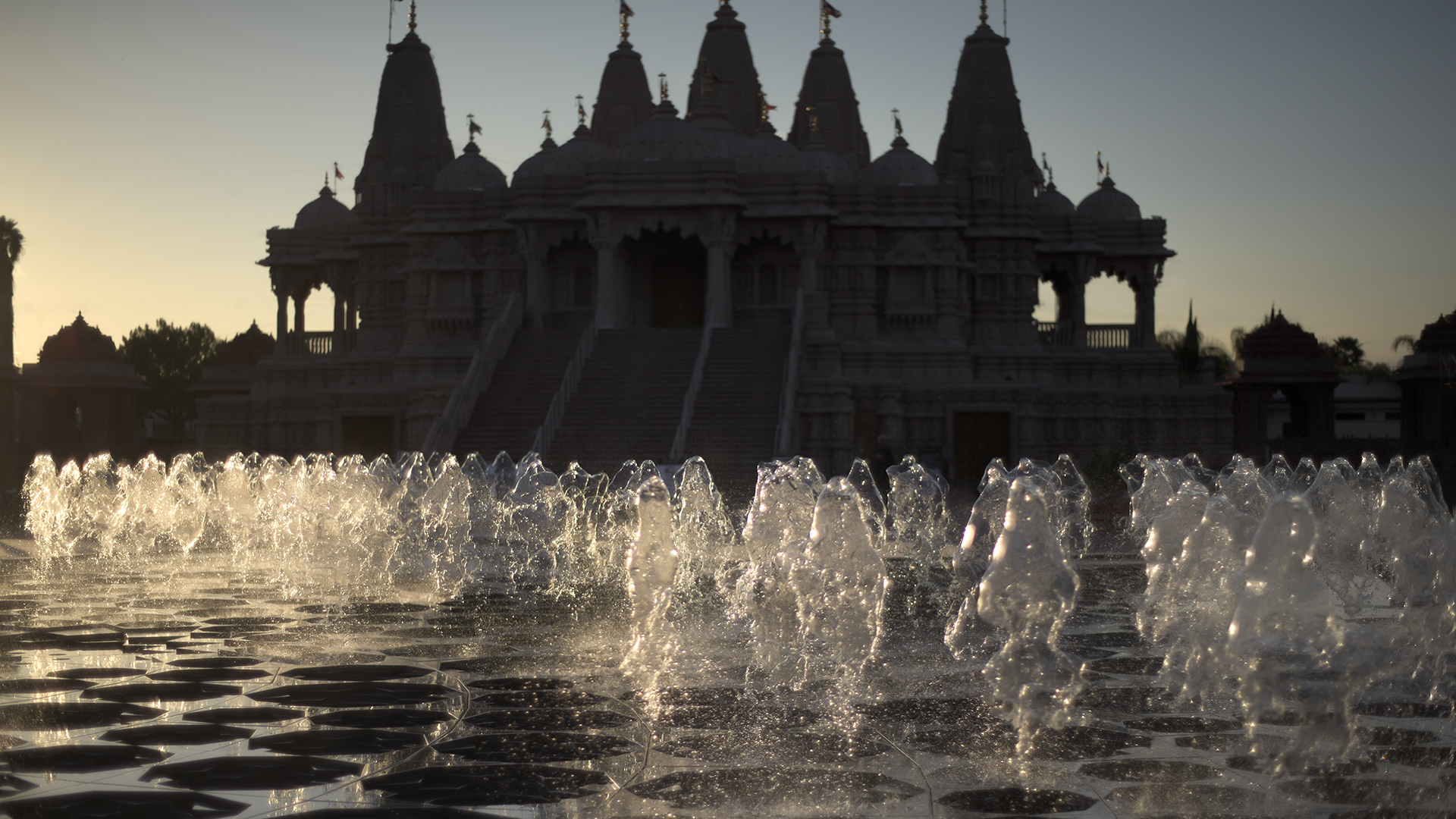 Lotus at BAPS Shri Swaminarayan Mandir, photograph 8 of 10