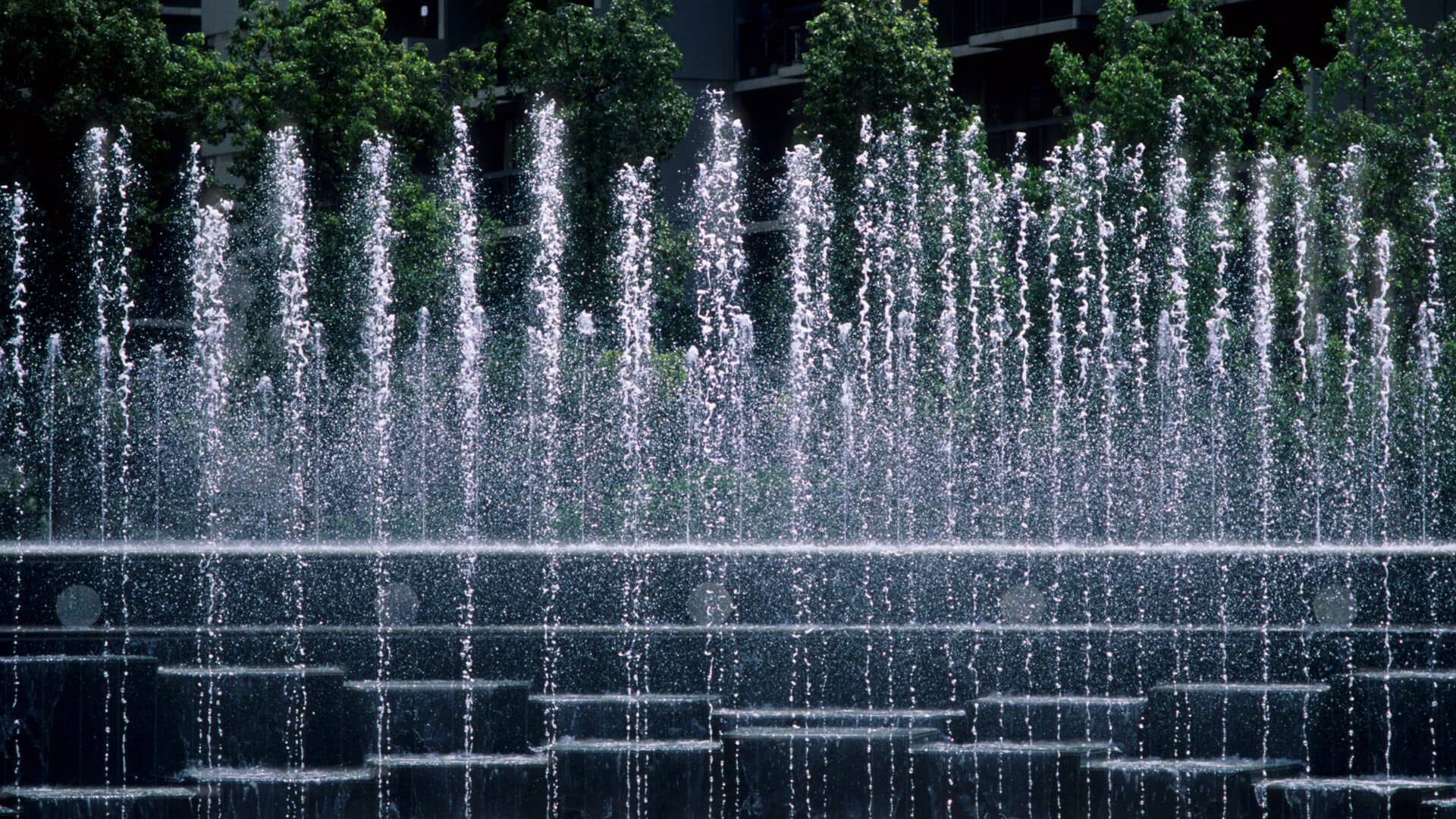 California Plaza Watercourt, photograph 11 of 14