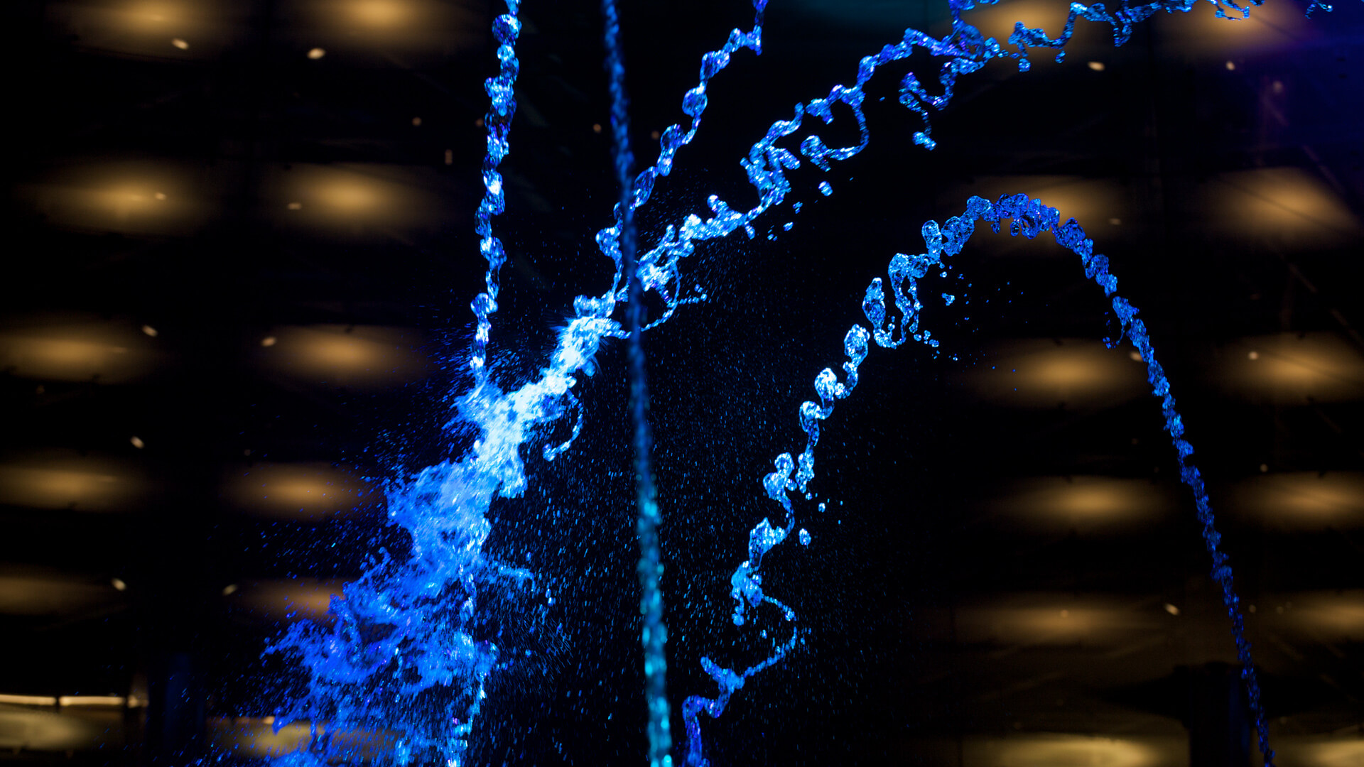 CityCenter Lumia, photograph 11 of 17