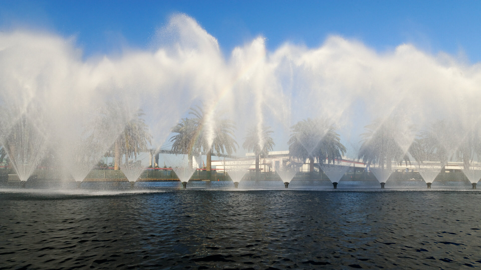Fanfare at San Pedro Gateway, photograph 10 of 14