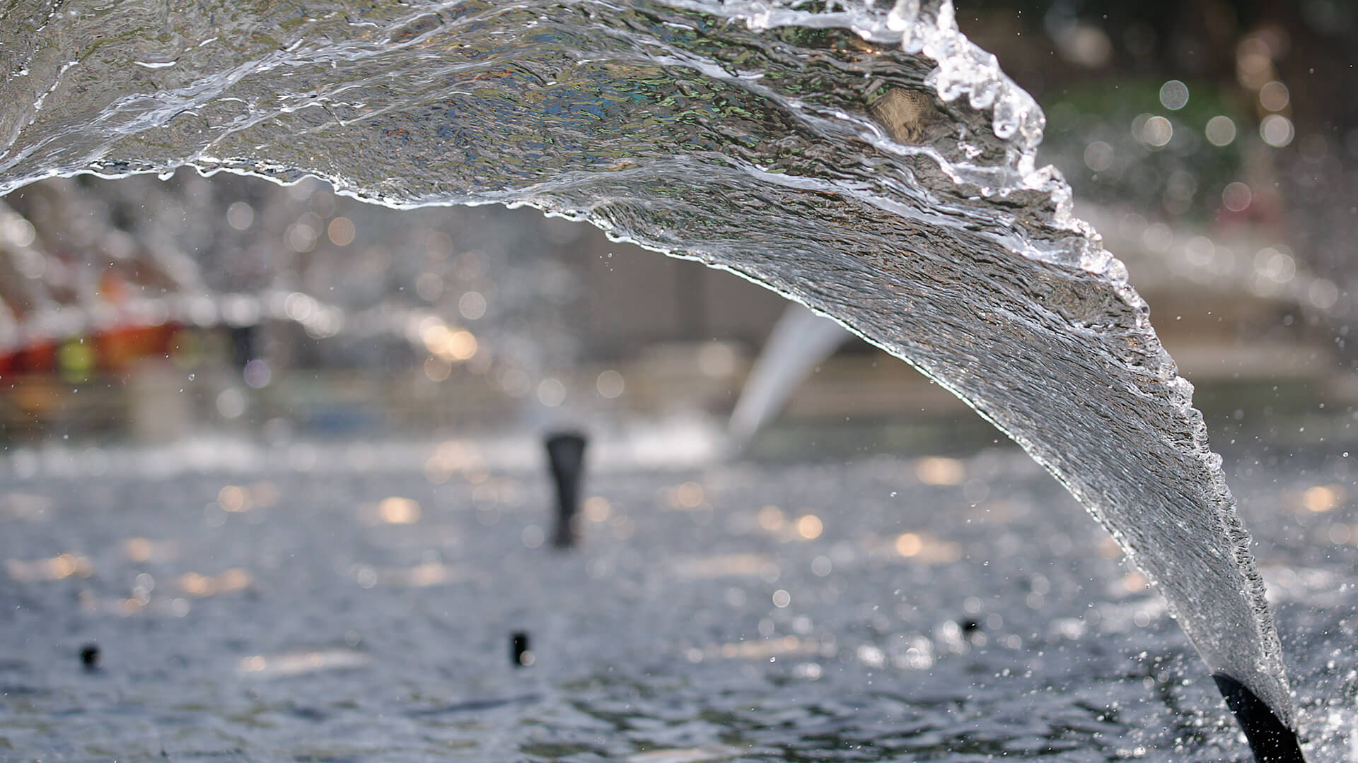 Waters of Americana at Brand, photograph 4 of 7